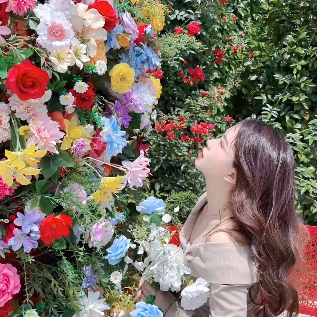 🌸桃之夭夭