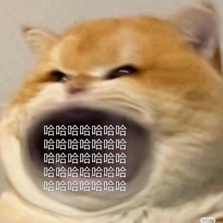 富哈哈