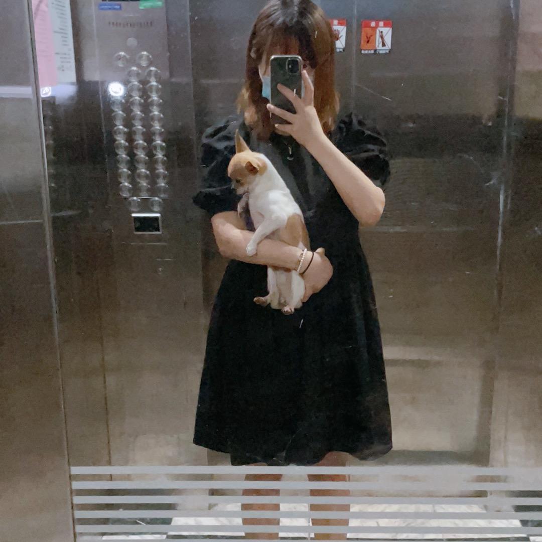 我养了很多🐱了