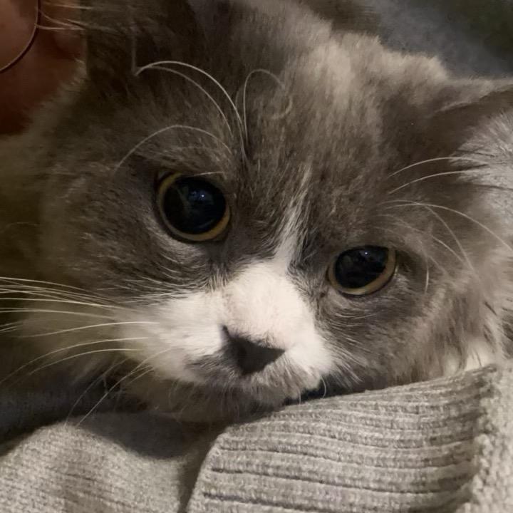 香瓜（王源全勤版）