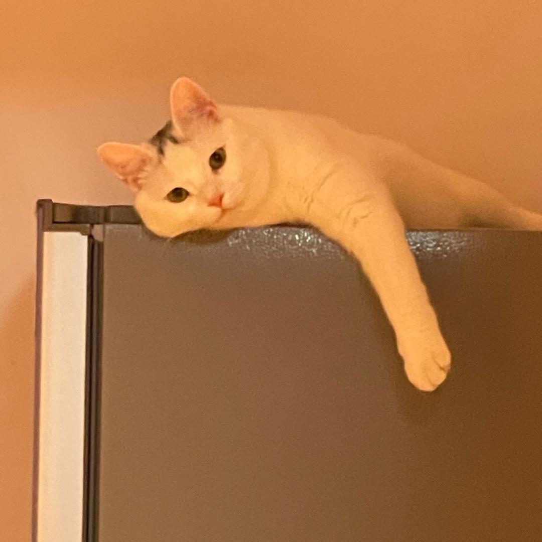啊啾