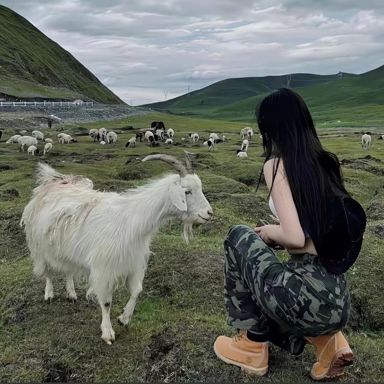 宝宝婚礼庆典现场