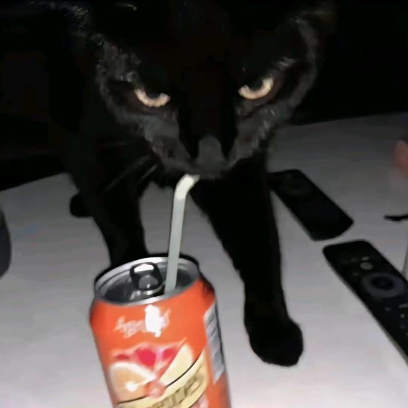 嘿嘿嘿