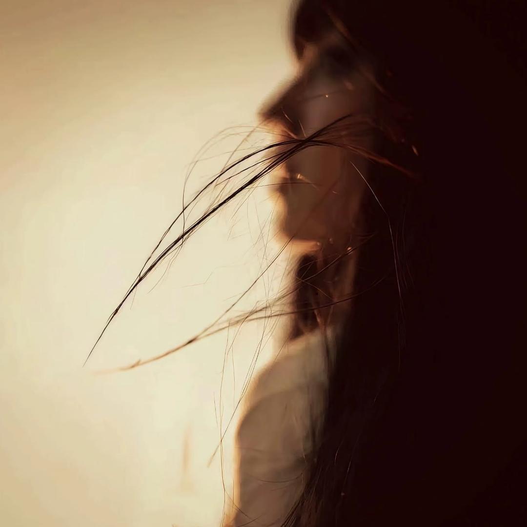 楸.