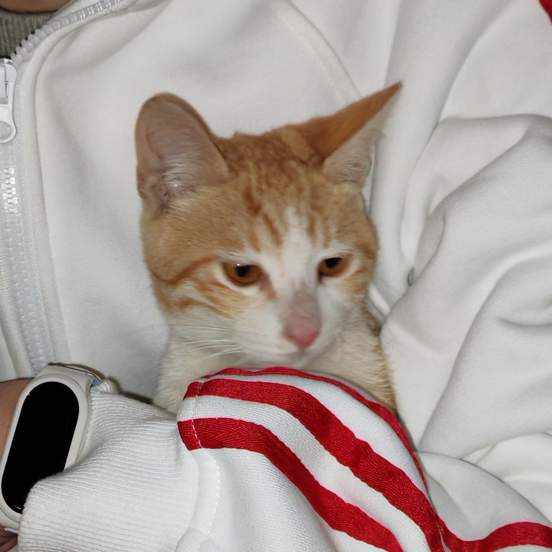 好饿饿饿饿饿饿