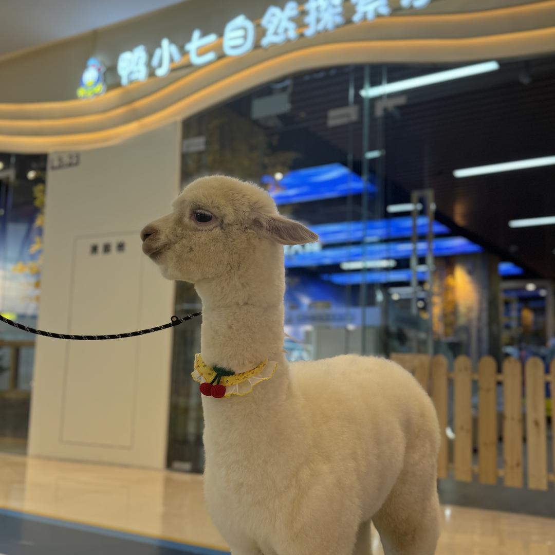 鸭小七自然探索乐园（南昌铜锣湾店）