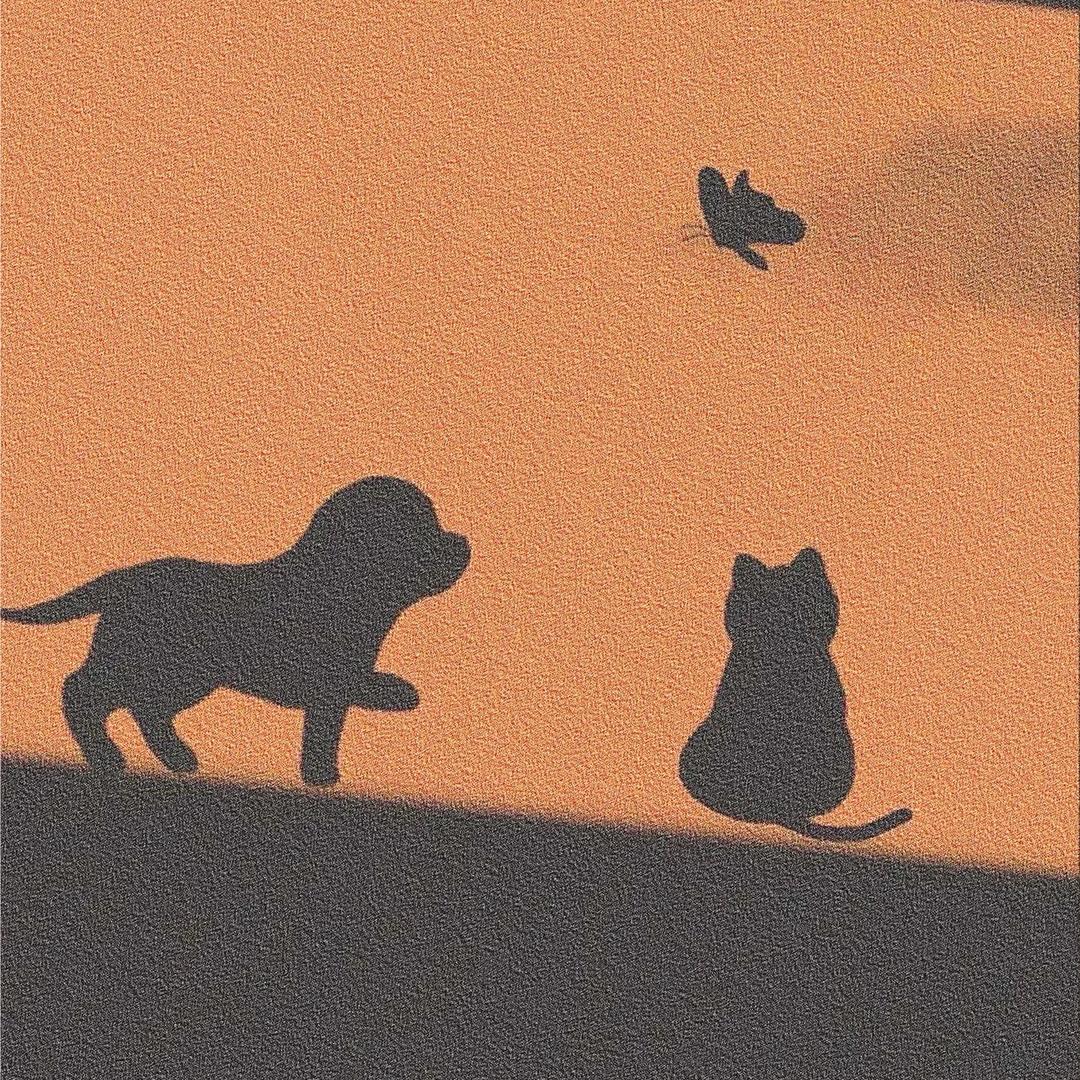 昆