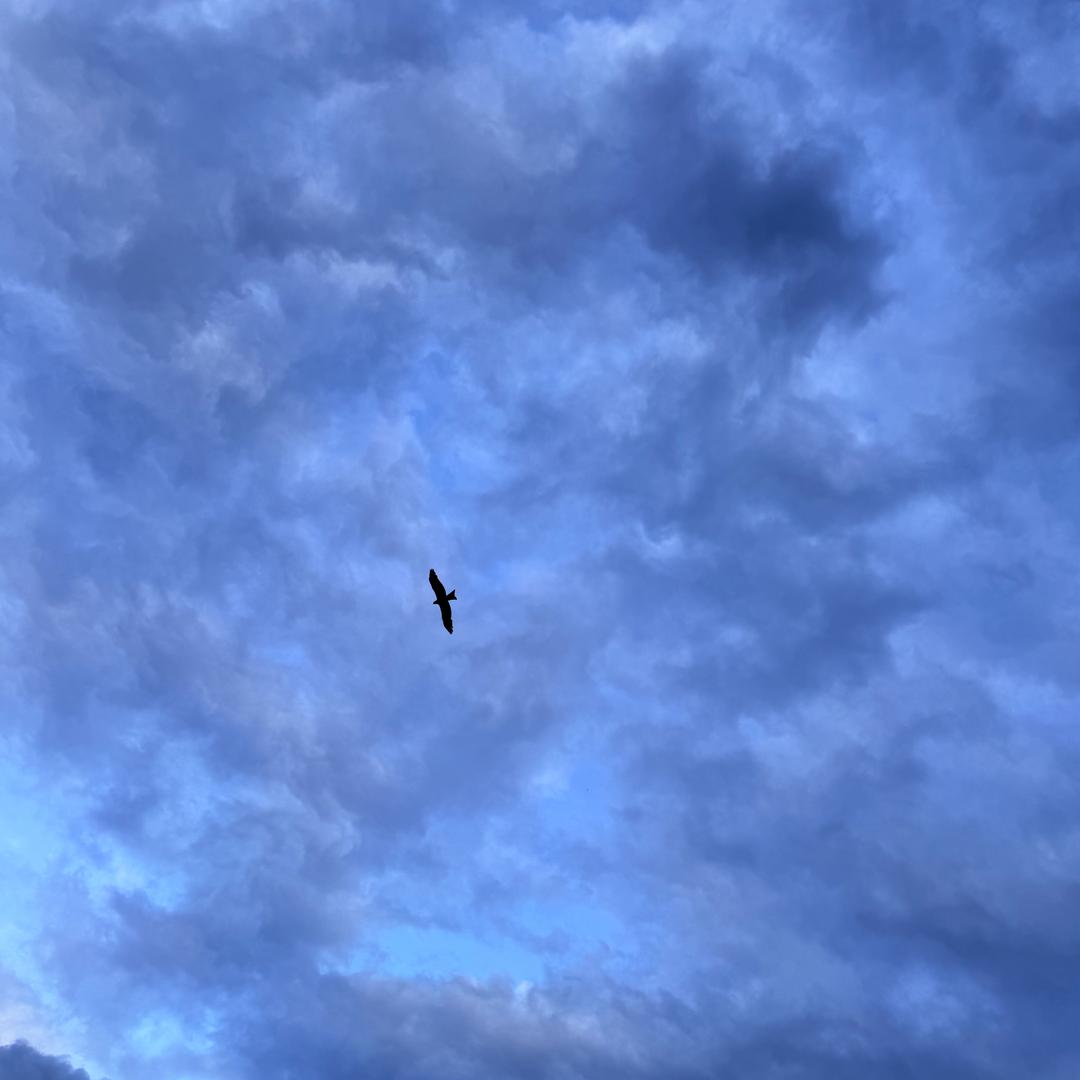 洗衣液源头厂家