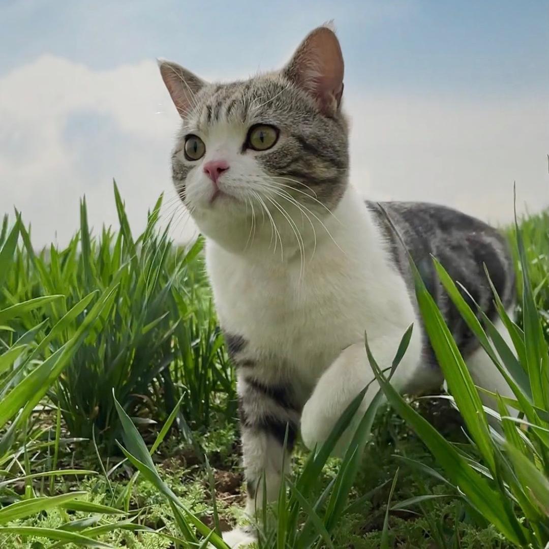 叨乐上班了@抖音