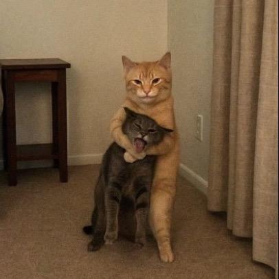 屙屎屙足半個鐘