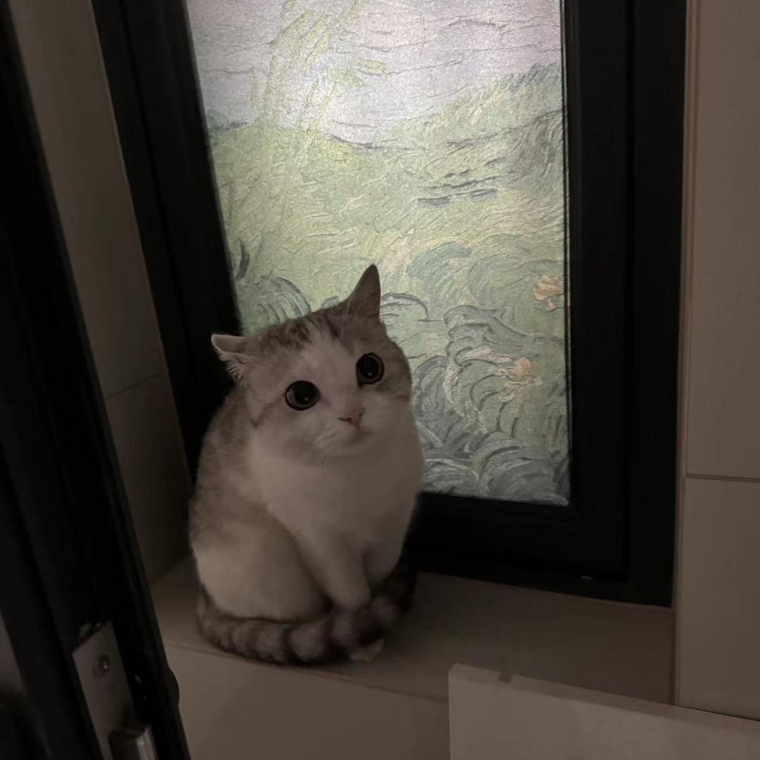 条条大王