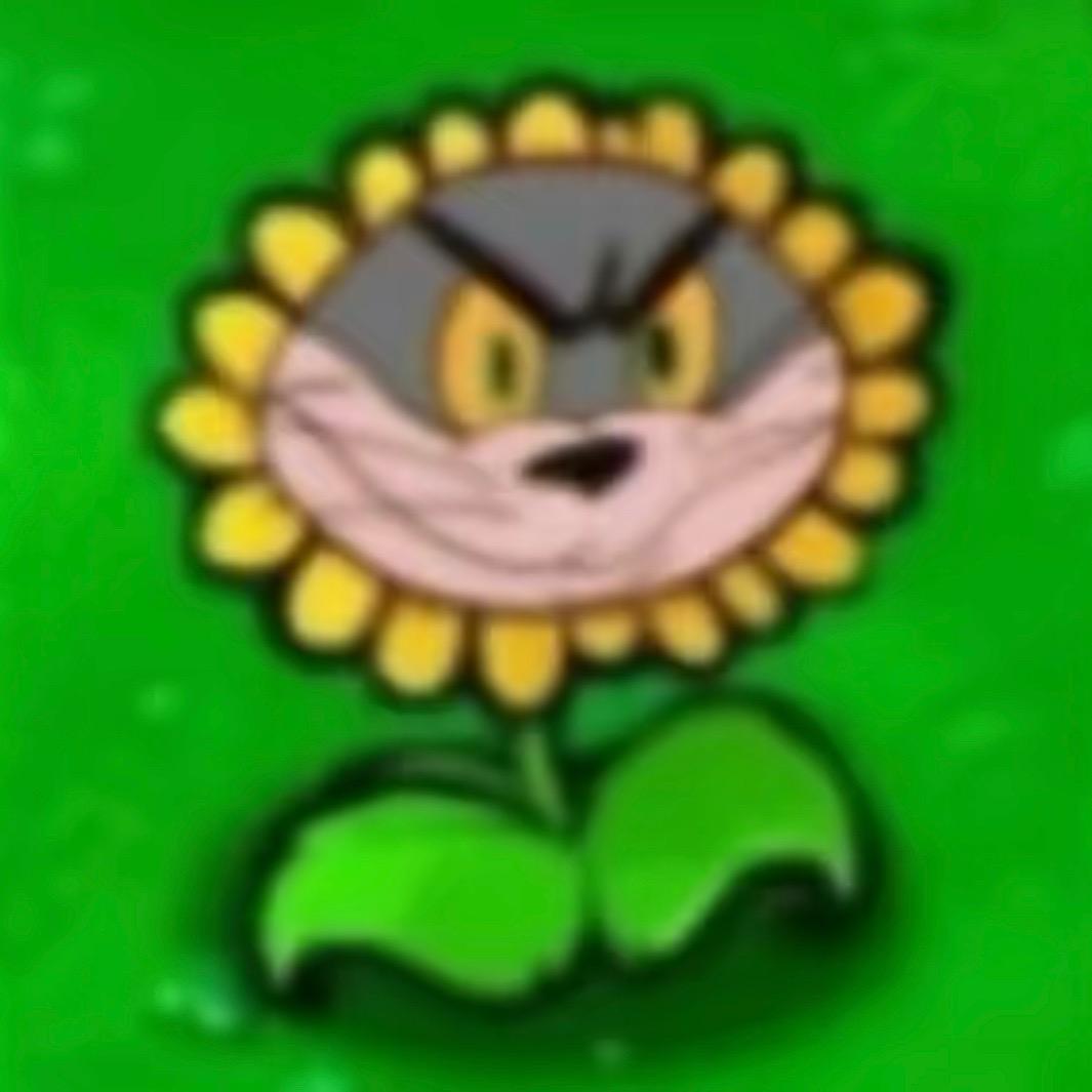 十四头像