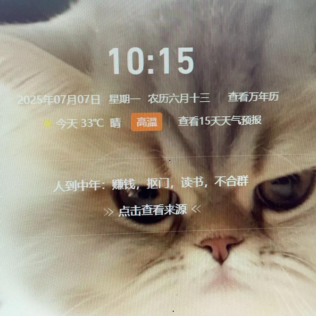 世界上没有真爱情