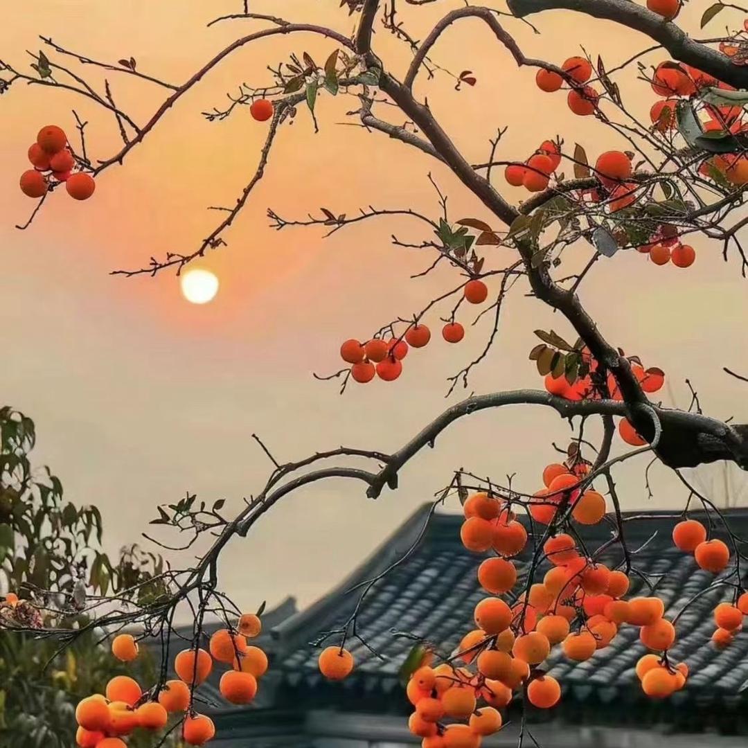 石鼓红平清真饭店