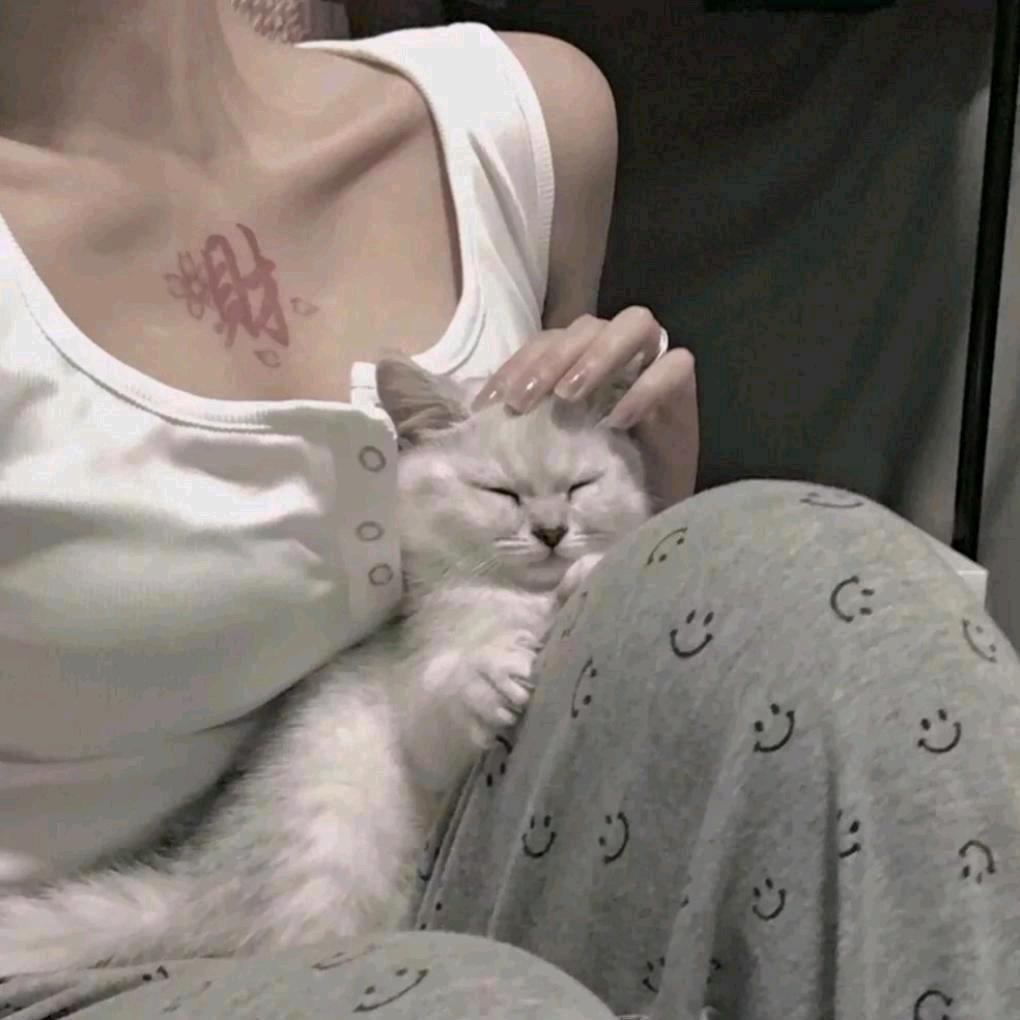 _合琳