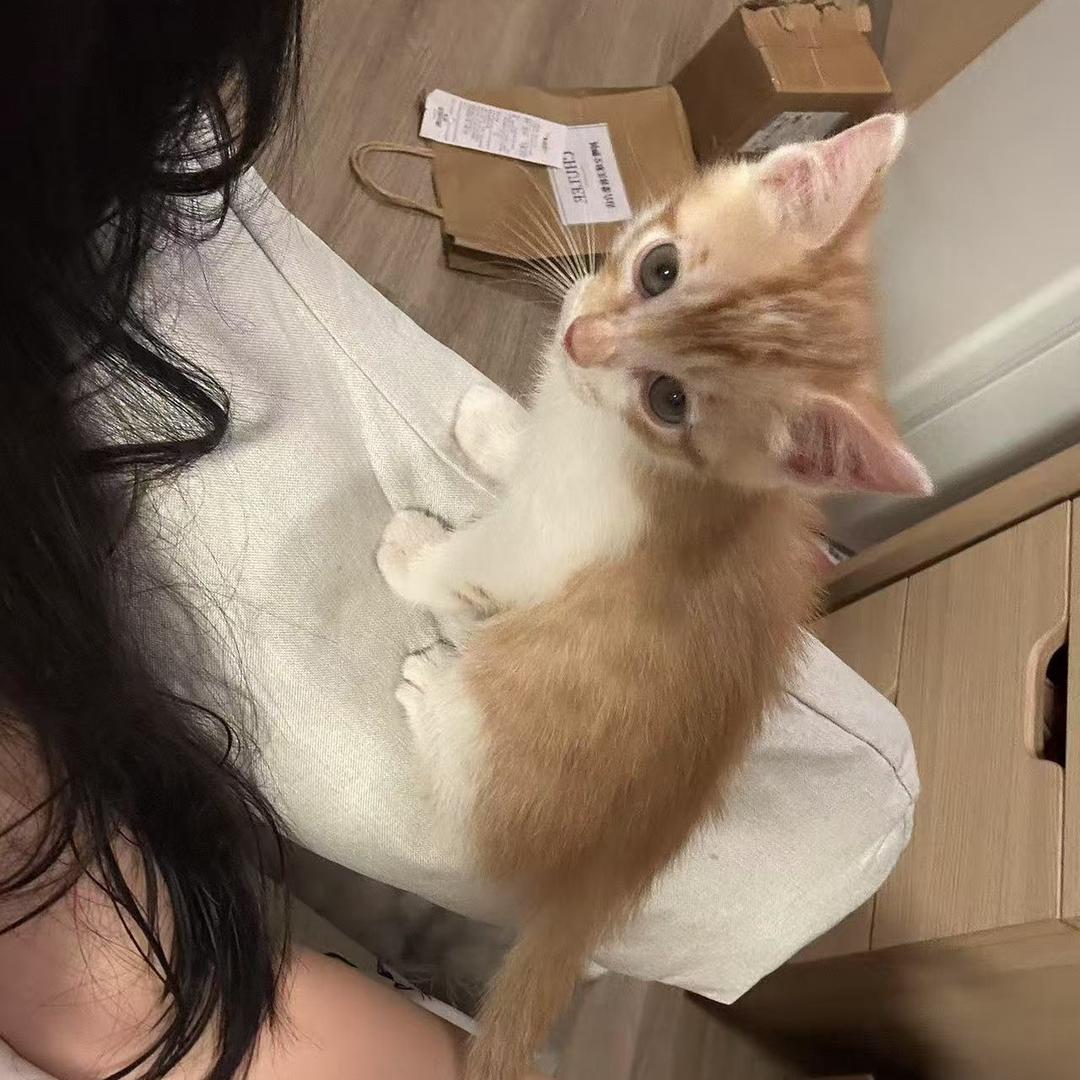 殿下.