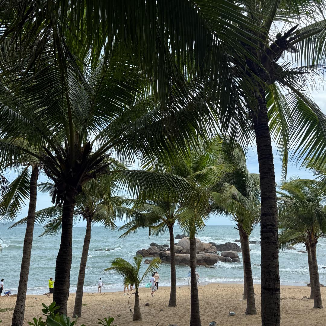 海南 5️⃣🆖 基建