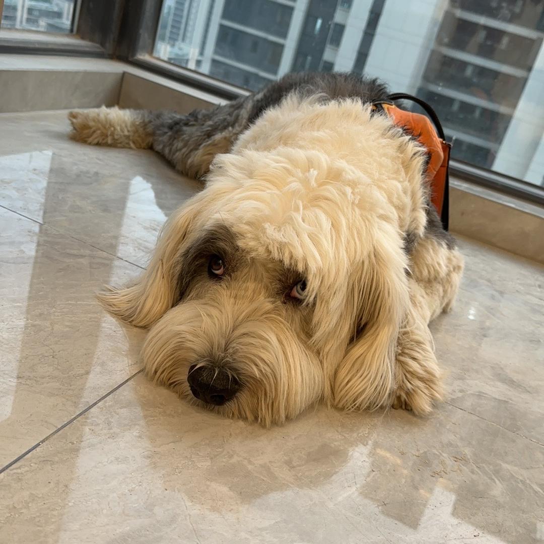 最帅钢筋混凝土