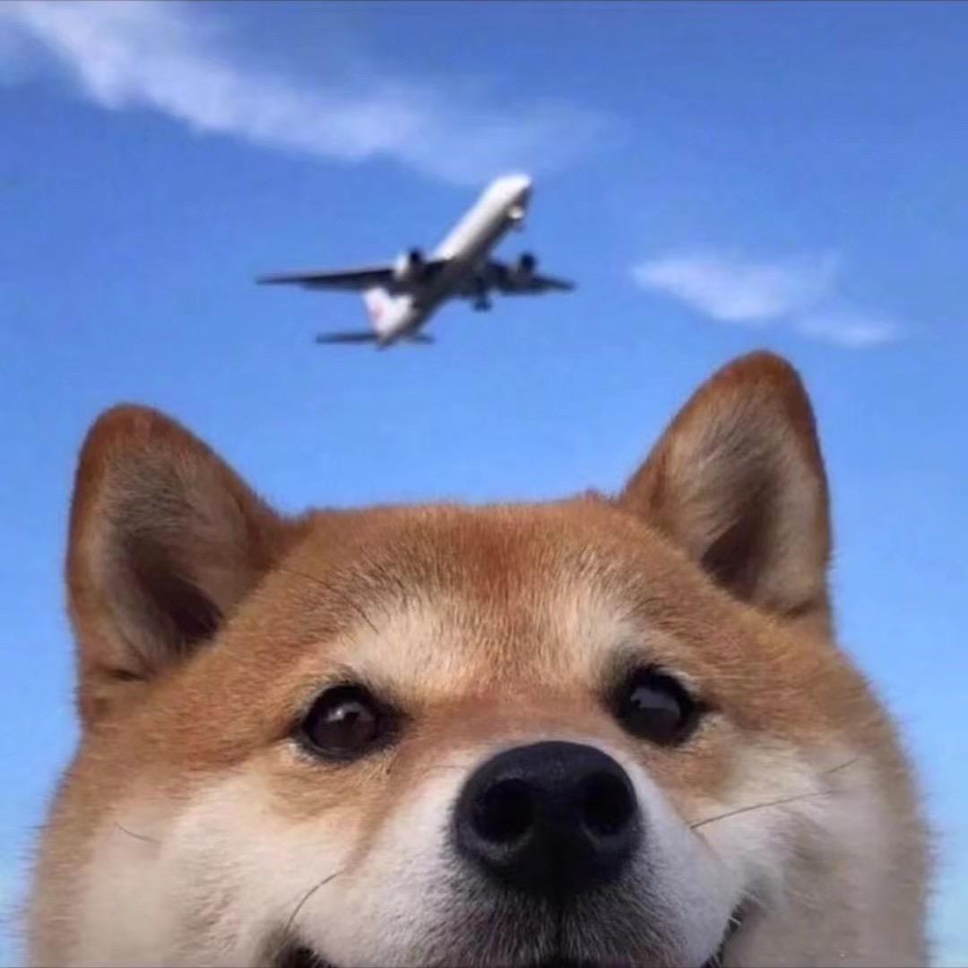 八🇨🇳一