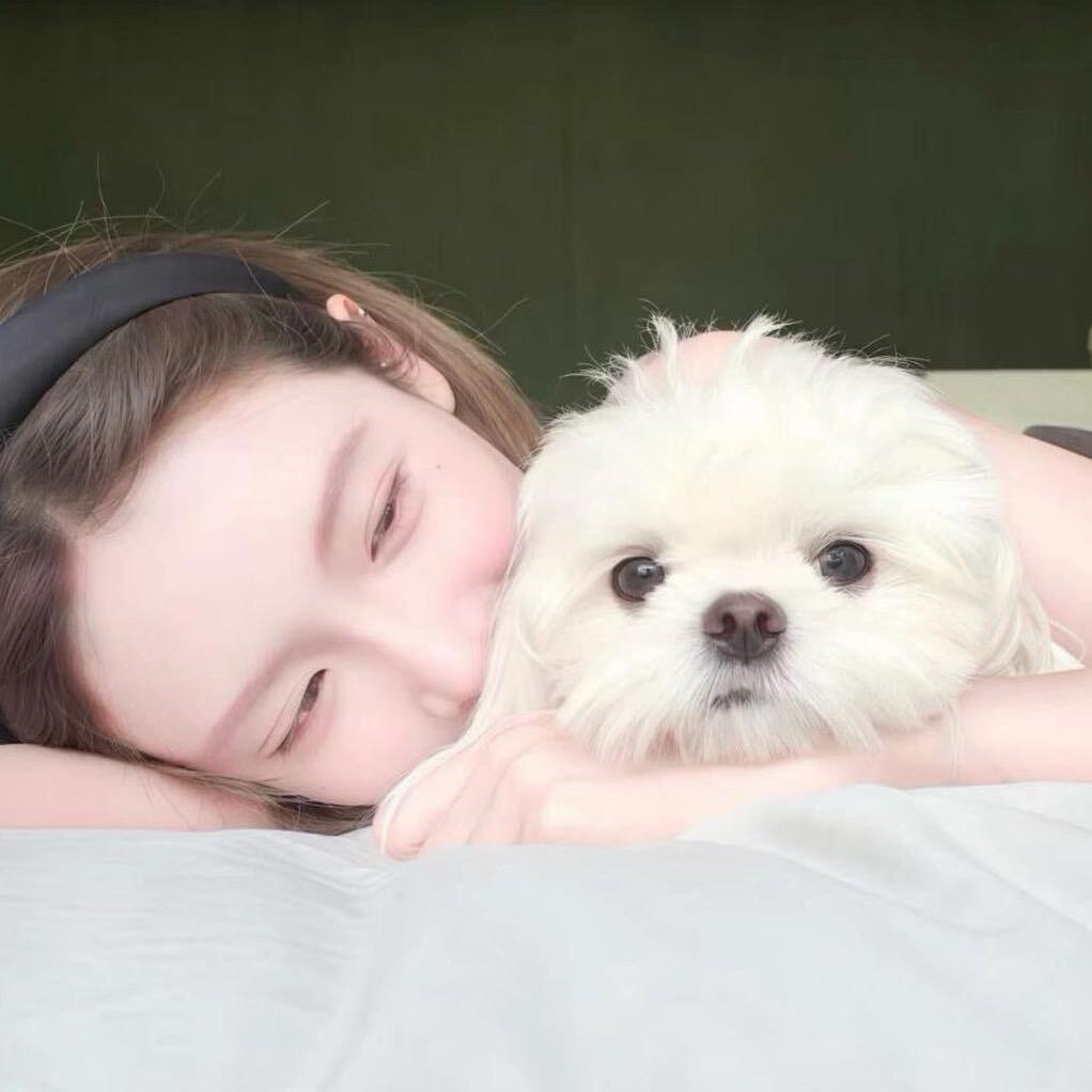 美羊羊🎀（小娇妻版）