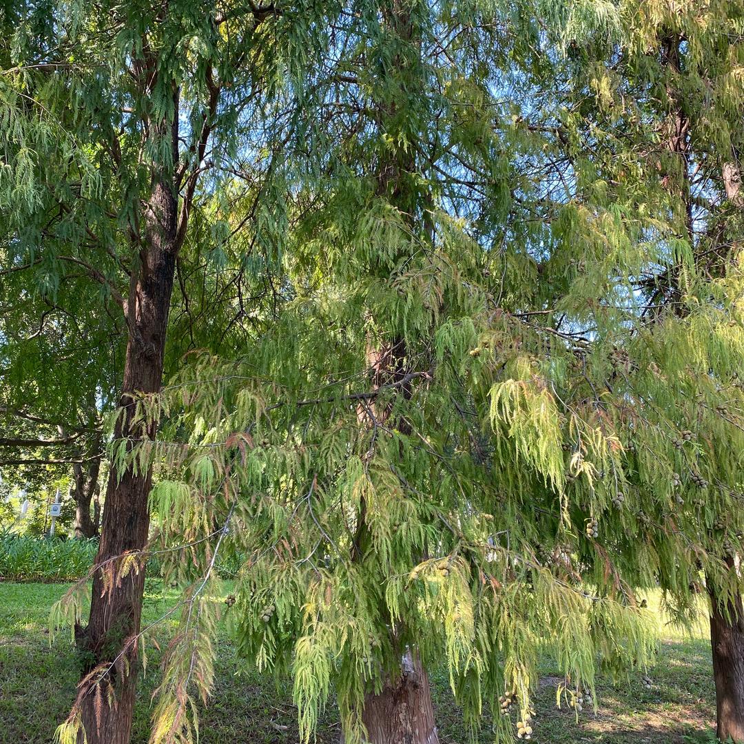 🌱🌱好好爱自己多一点🫰🫰🫰