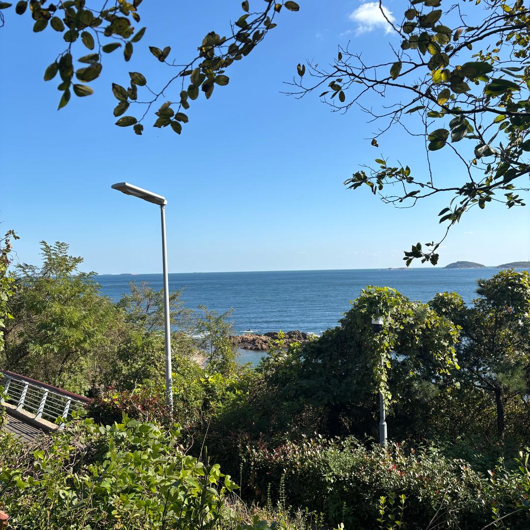 星河漫游者