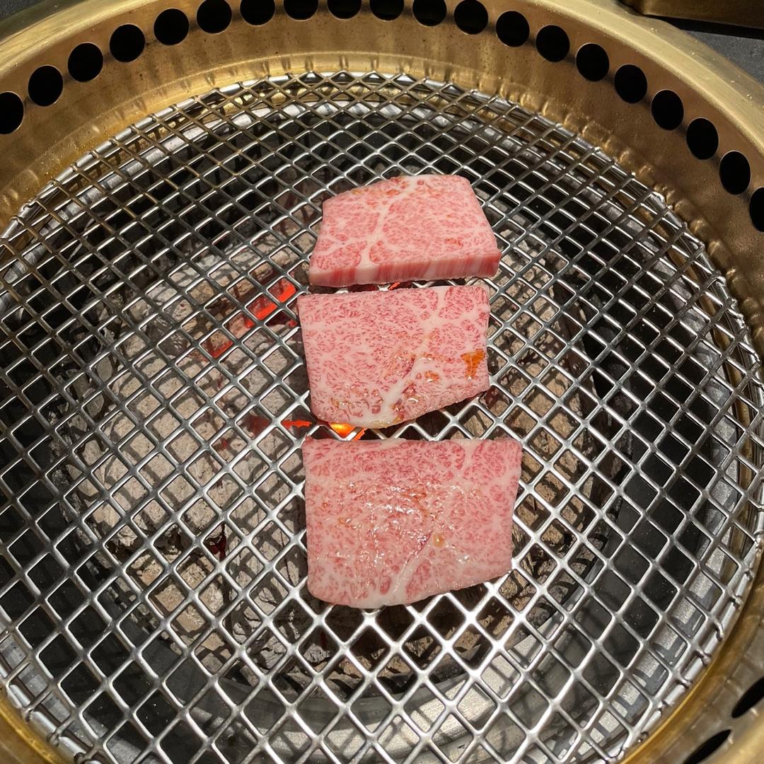 五花肉骑猫