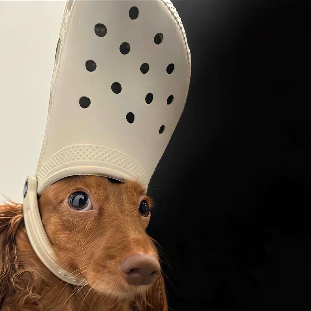 派大星海绵宝宝