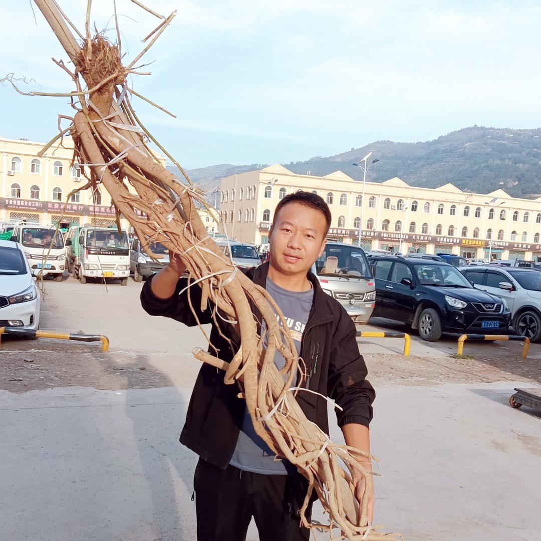 豆哥的野山货