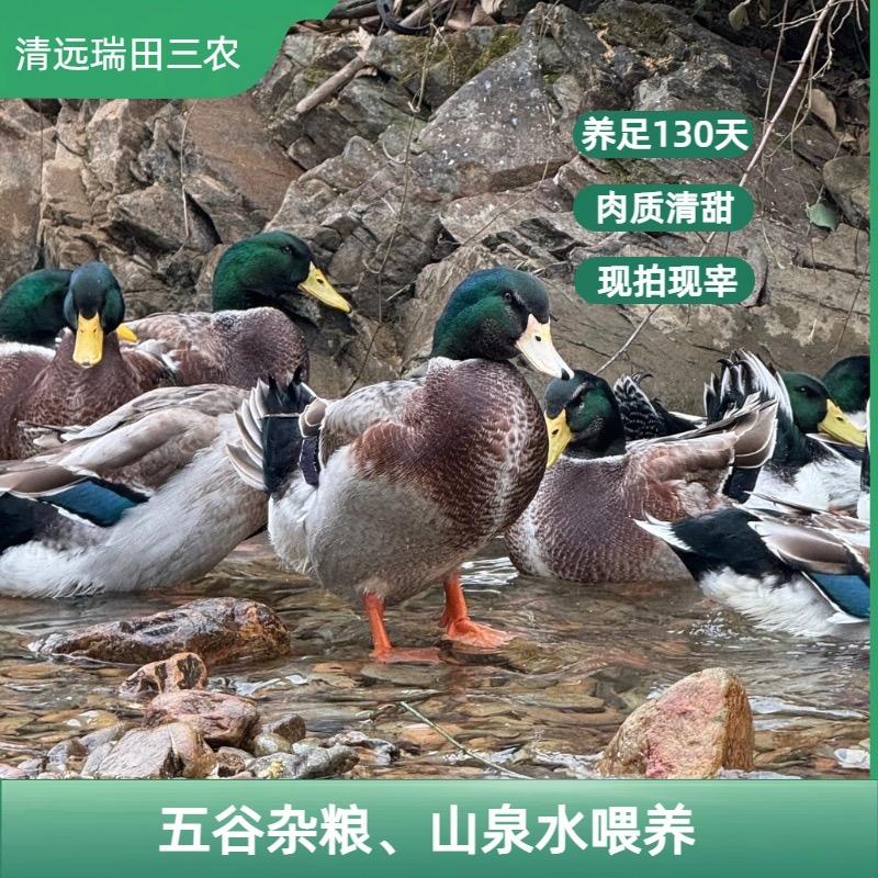 清远瑞田三农