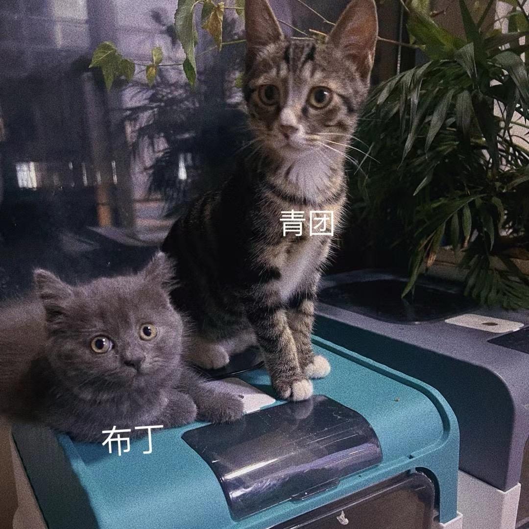 四海@
