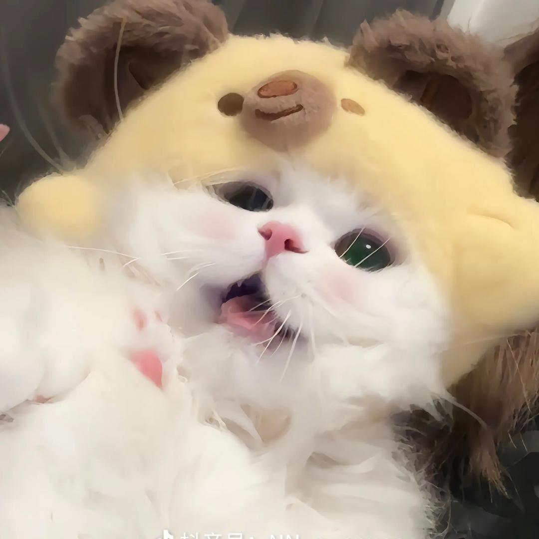 蘸糖 拔轿子gay他