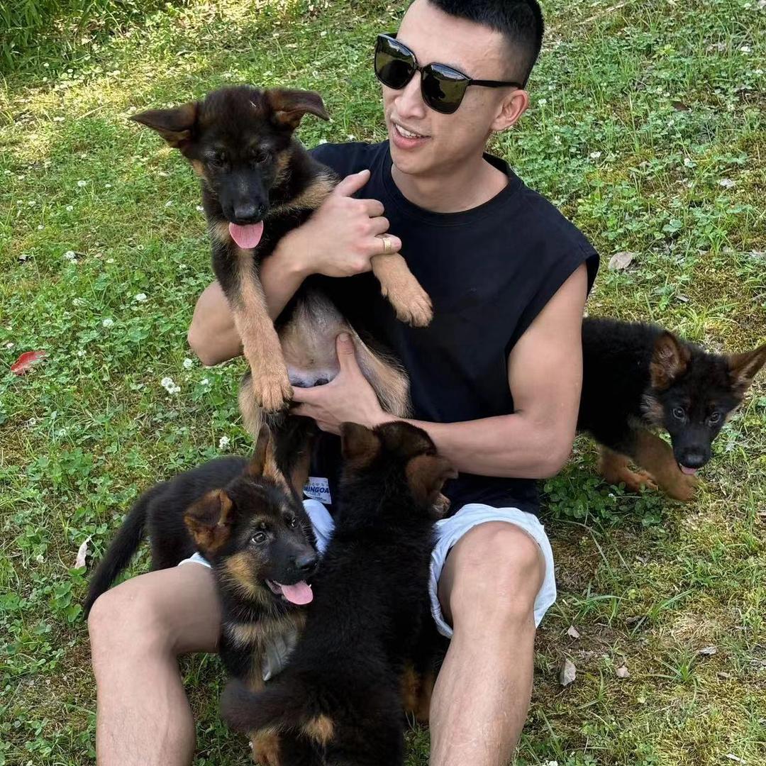 福家犬舍（直播号）