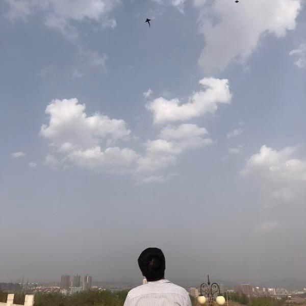 ☀️全村的希望