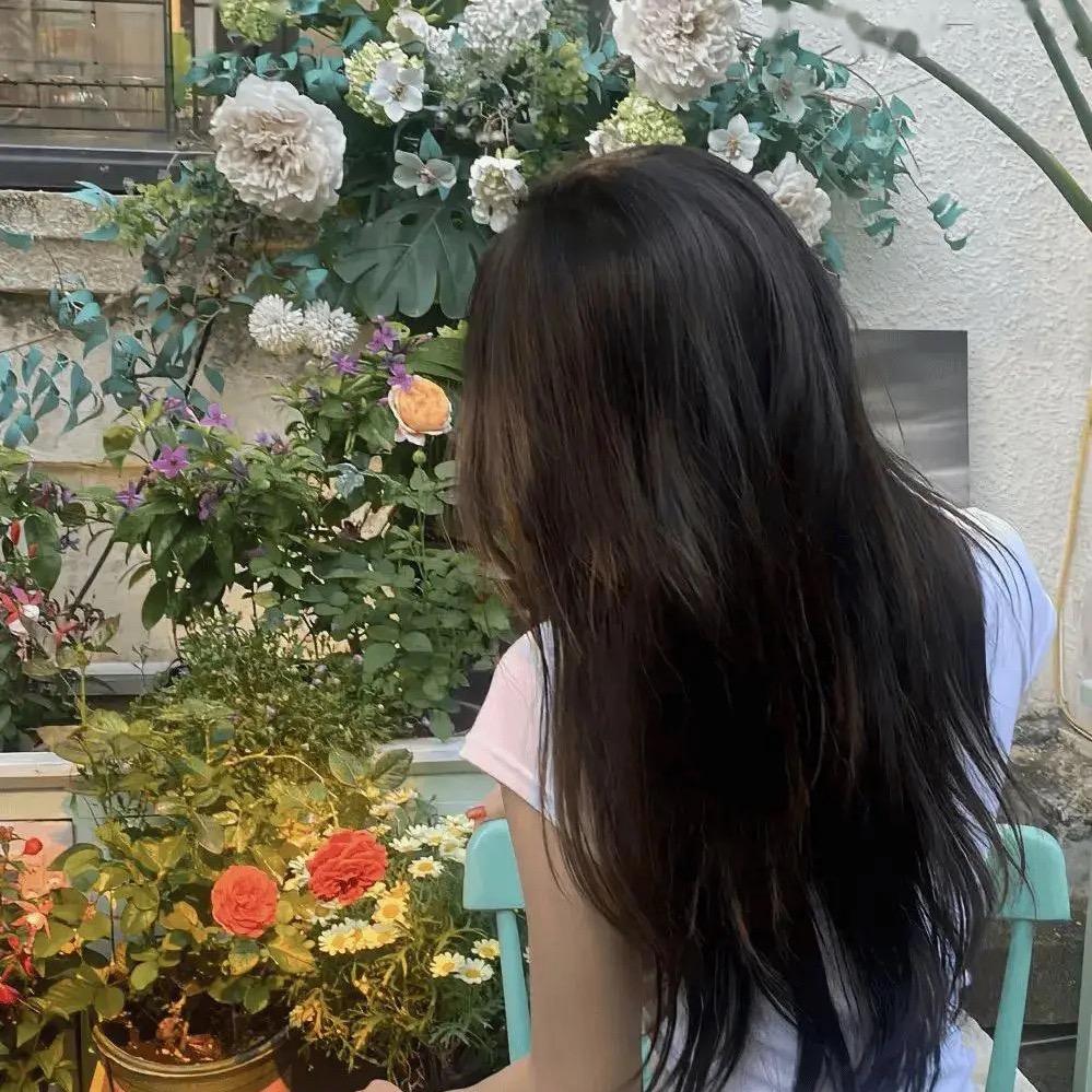 🌸少女的秘密🌸