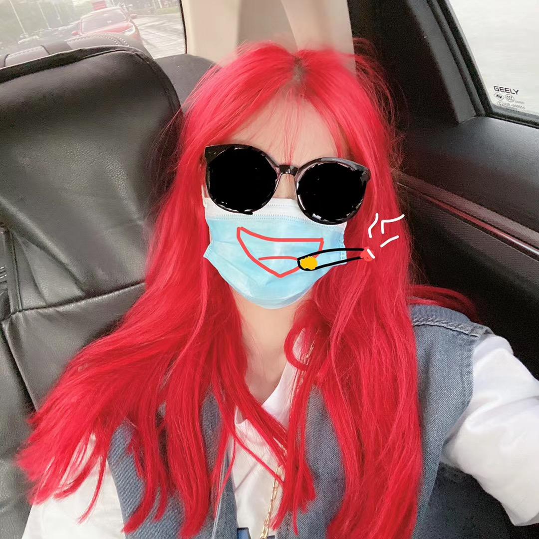 不要打打鲨鲨