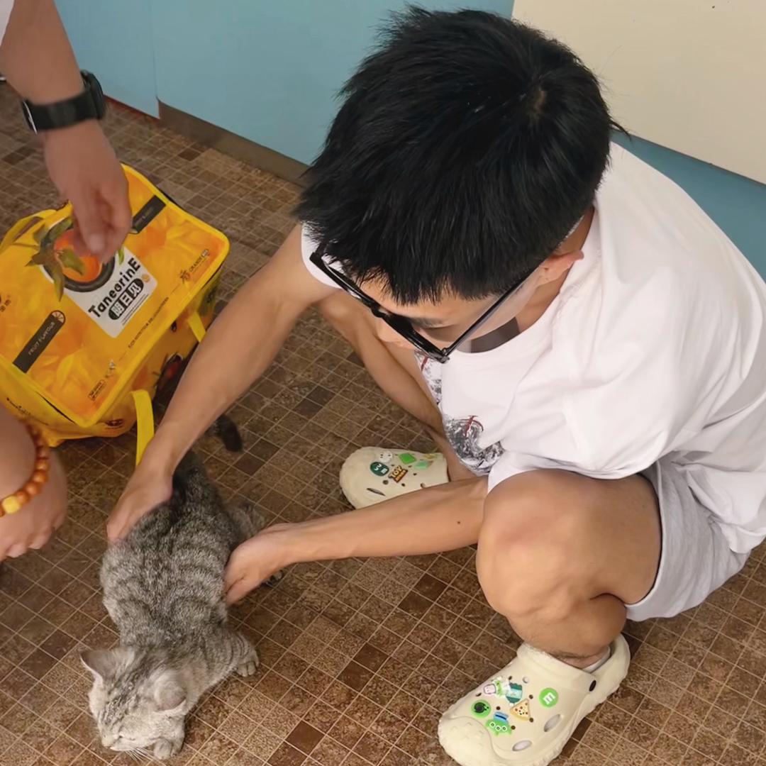 耀火台球🎱 崔