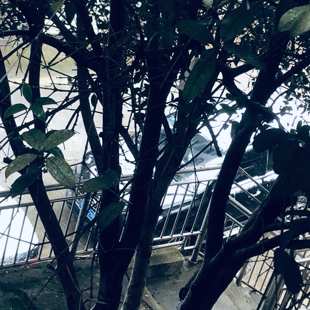 没心没肺的小哥