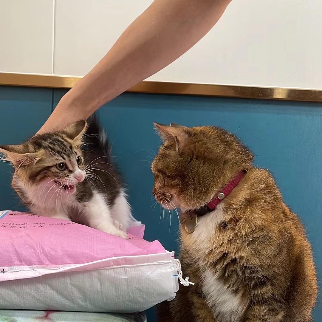 生生