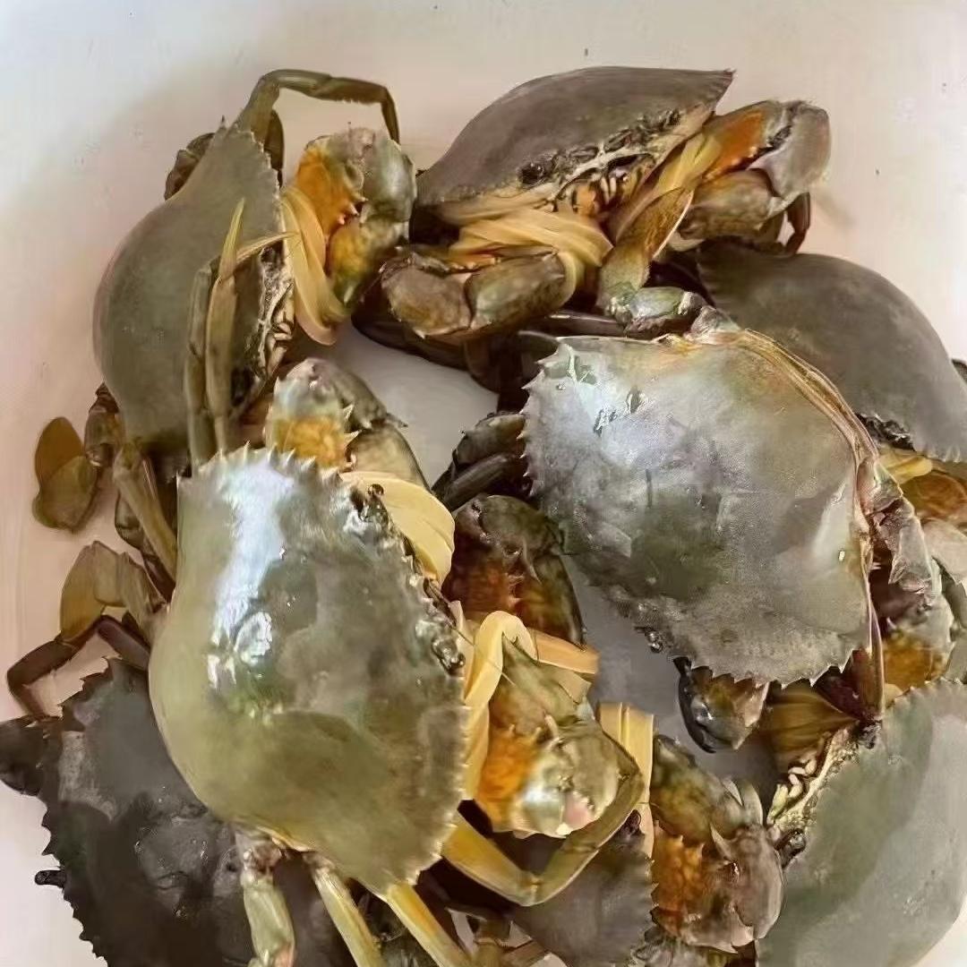 李小鲜螃蟹批发