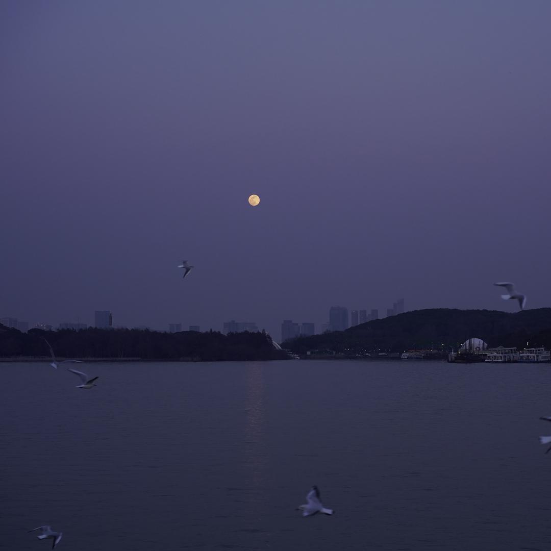 八两.