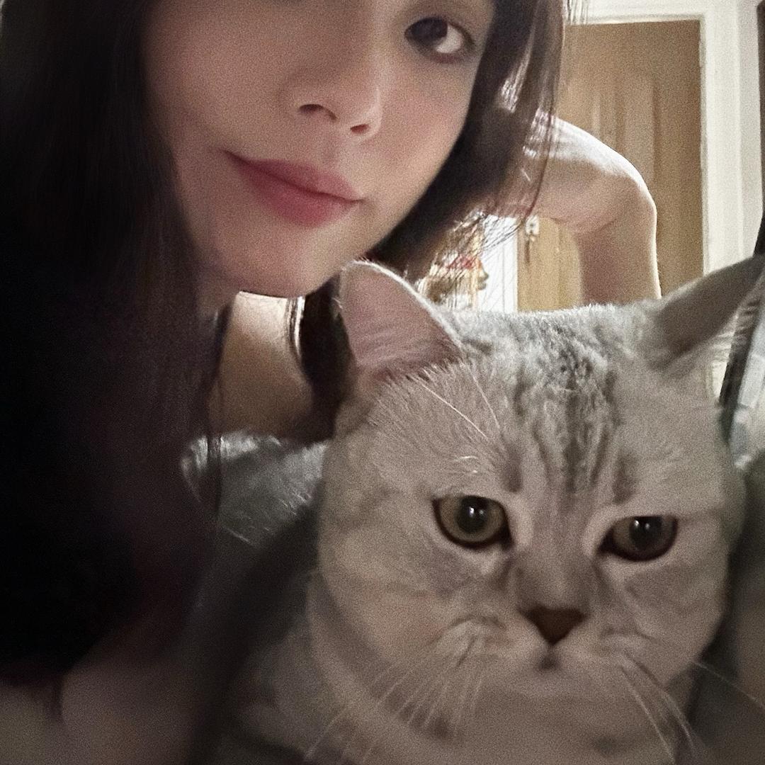 小羊
