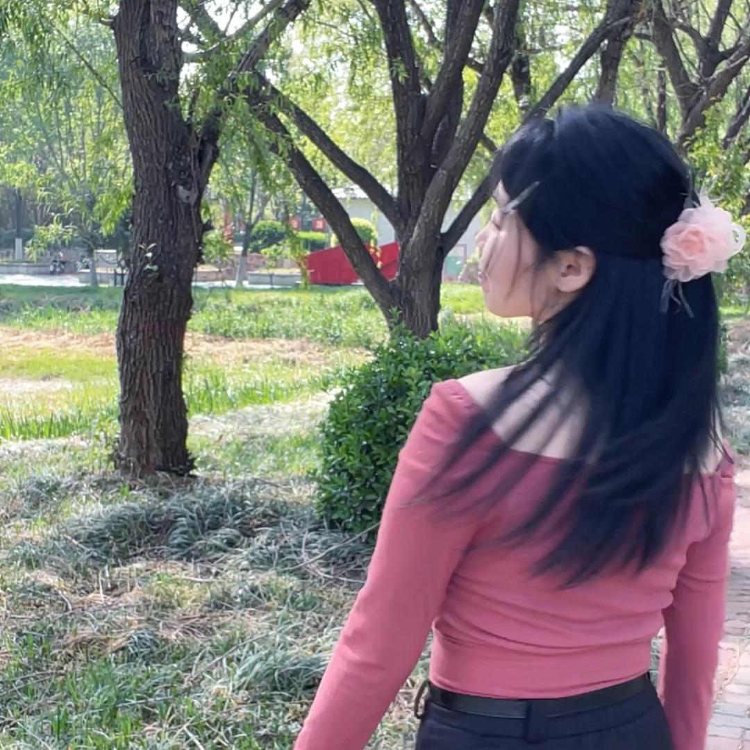 🕊️鸽子