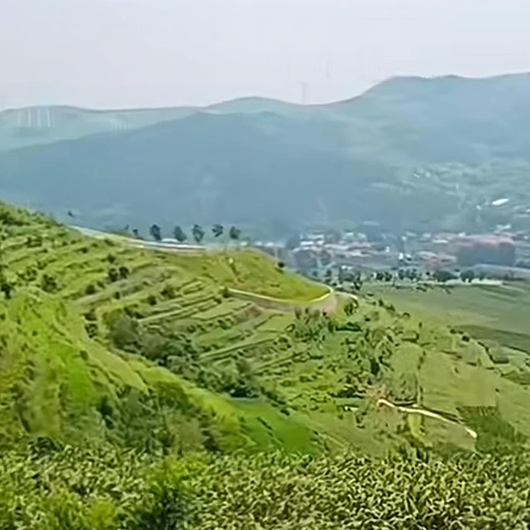 鲁东农园生鲜