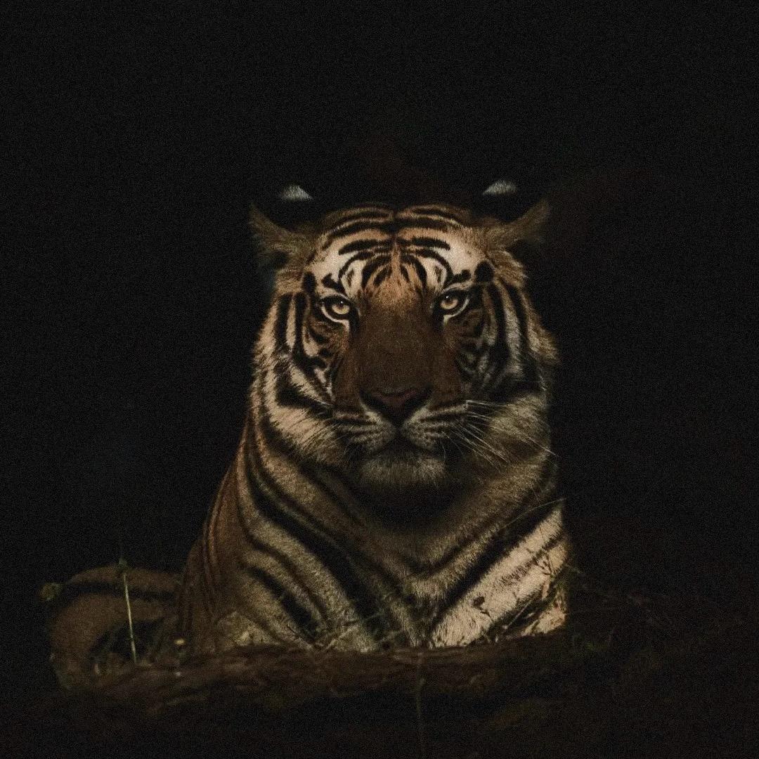 成成  （创业中）