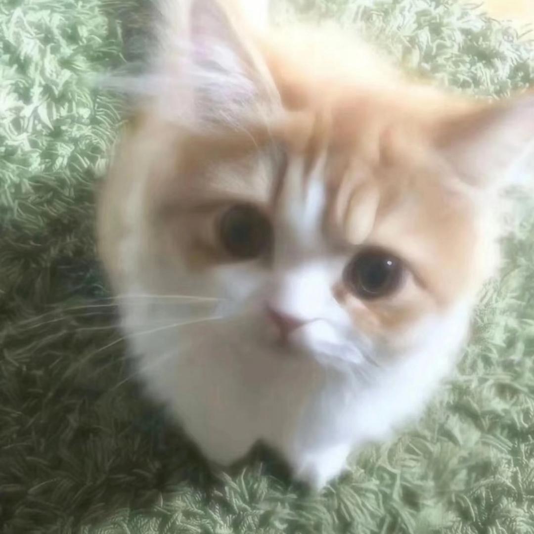 Jennie.
