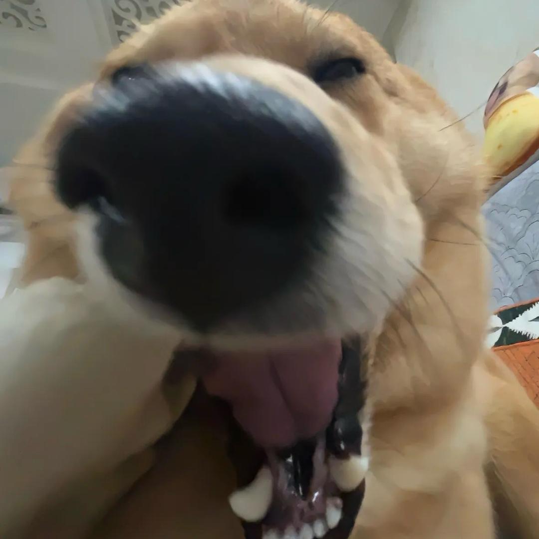 山竹（超自然行动组）