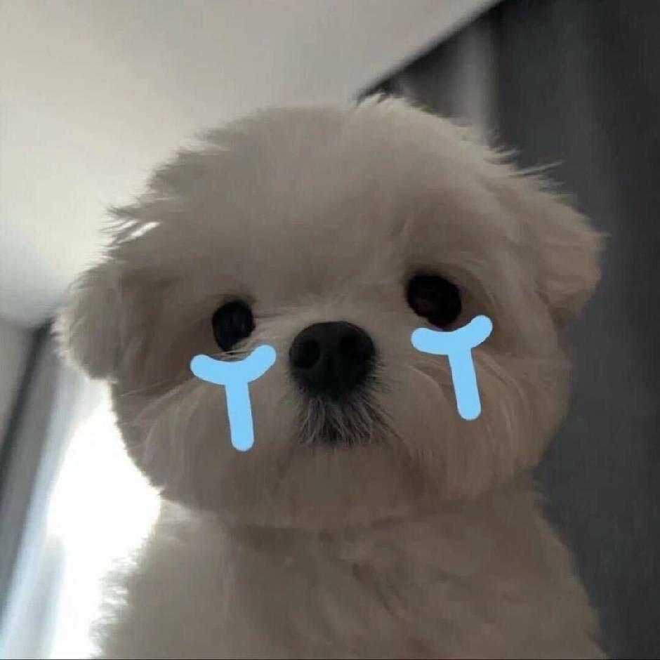 小帅哥