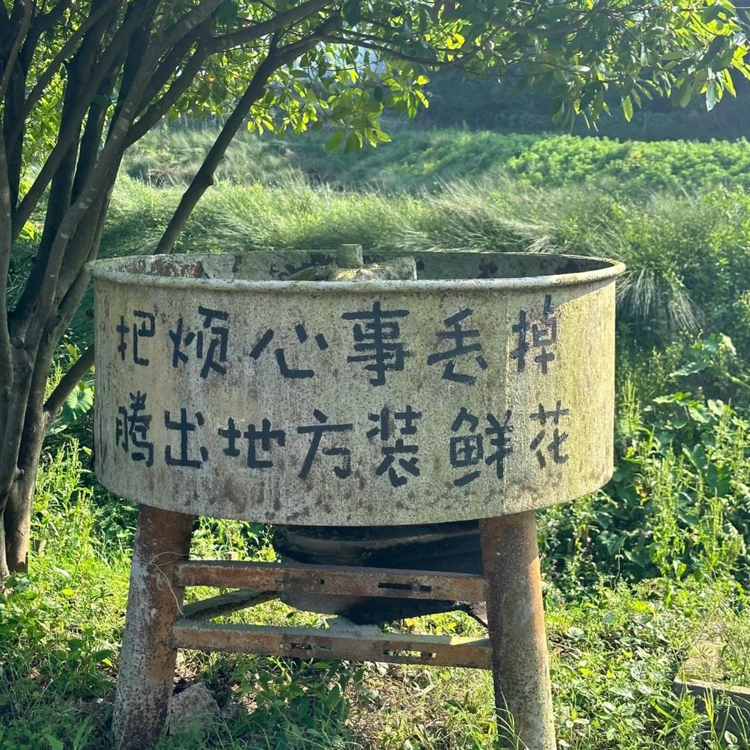 小趴菜❗️