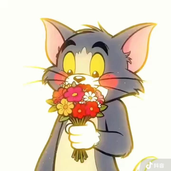 江飞👍👌👎👍👍👍